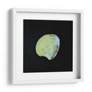 Almeja - Chef Capellini | Cuadro decorativo de Canvas Lab