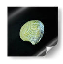 Almeja - Chef Capellini | Cuadro decorativo de Canvas Lab