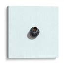 Arándano - Chef Capellini | Cuadro decorativo de Canvas Lab