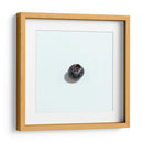 Arándano - Chef Capellini | Cuadro decorativo de Canvas Lab