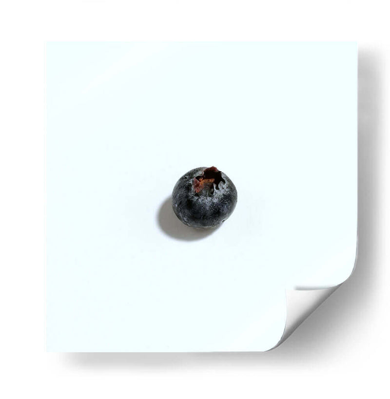 Arándano - Chef Capellini | Cuadro decorativo de Canvas Lab