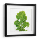 Arugula - Chef Capellini | Cuadro decorativo de Canvas Lab