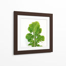 Arugula - Chef Capellini | Cuadro decorativo de Canvas Lab