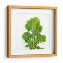 Arugula - Chef Capellini | Cuadro decorativo de Canvas Lab