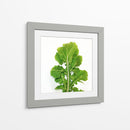 Arugula - Chef Capellini | Cuadro decorativo de Canvas Lab