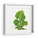 Arugula - Chef Capellini | Cuadro decorativo de Canvas Lab