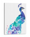 Splash De Pavo Real I - Jennifer Goldberger | Cuadro decorativo de Canvas Lab