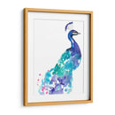 Splash De Pavo Real I - Jennifer Goldberger | Cuadro decorativo de Canvas Lab
