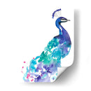 Splash De Pavo Real I - Jennifer Goldberger | Cuadro decorativo de Canvas Lab
