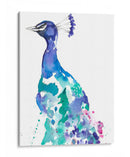 Peacock Splash Ii - Jennifer Goldberger | Cuadro decorativo de Canvas Lab