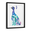 Peacock Splash Ii - Jennifer Goldberger | Cuadro decorativo de Canvas Lab