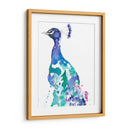 Peacock Splash Ii - Jennifer Goldberger | Cuadro decorativo de Canvas Lab