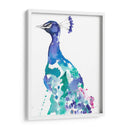 Peacock Splash Ii - Jennifer Goldberger | Cuadro decorativo de Canvas Lab