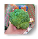 Brócoli - Chef Capellini | Cuadro decorativo de Canvas Lab