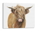 Ganado Highland I - Grace Popp | Cuadro decorativo de Canvas Lab