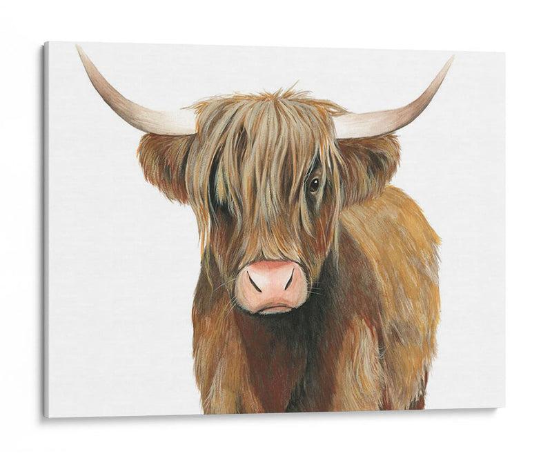 Ganado Highland Ii - Grace Popp | Cuadro decorativo de Canvas Lab