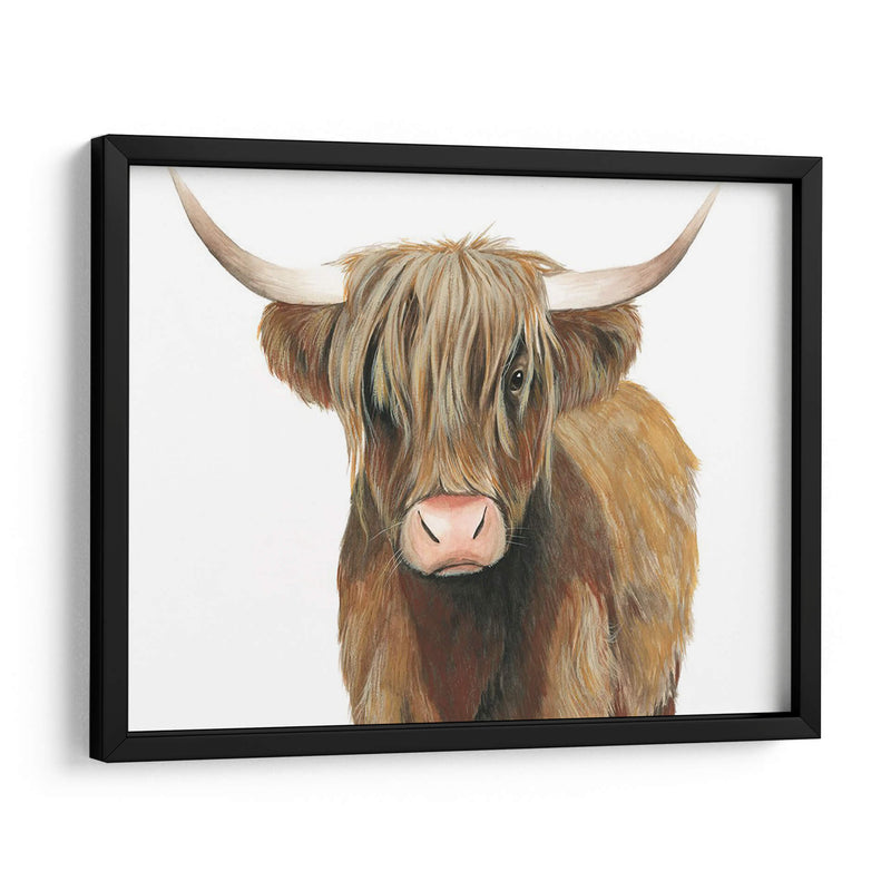 Ganado Highland Ii - Grace Popp | Cuadro decorativo de Canvas Lab