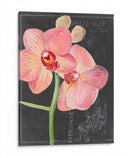 Flor De La Pizarra I - Jennifer Paxton Parker | Cuadro decorativo de Canvas Lab