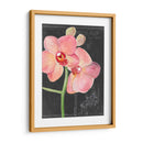 Flor De La Pizarra I - Jennifer Paxton Parker | Cuadro decorativo de Canvas Lab