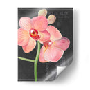 Flor De La Pizarra I - Jennifer Paxton Parker | Cuadro decorativo de Canvas Lab