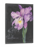 Flor De La Pizarra Ii - Jennifer Paxton Parker | Cuadro decorativo de Canvas Lab