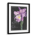 Flor De La Pizarra Ii - Jennifer Paxton Parker | Cuadro decorativo de Canvas Lab