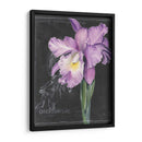 Flor De La Pizarra Ii - Jennifer Paxton Parker | Cuadro decorativo de Canvas Lab