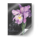 Flor De La Pizarra Ii - Jennifer Paxton Parker | Cuadro decorativo de Canvas Lab