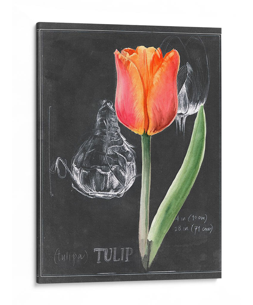 Pizarra Flor Iii - Jennifer Paxton Parker | Cuadro decorativo de Canvas Lab