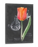 Pizarra Flor Iii - Jennifer Paxton Parker | Cuadro decorativo de Canvas Lab