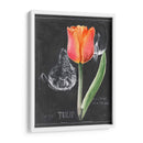 Pizarra Flor Iii - Jennifer Paxton Parker | Cuadro decorativo de Canvas Lab