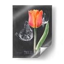 Pizarra Flor Iii - Jennifer Paxton Parker | Cuadro decorativo de Canvas Lab