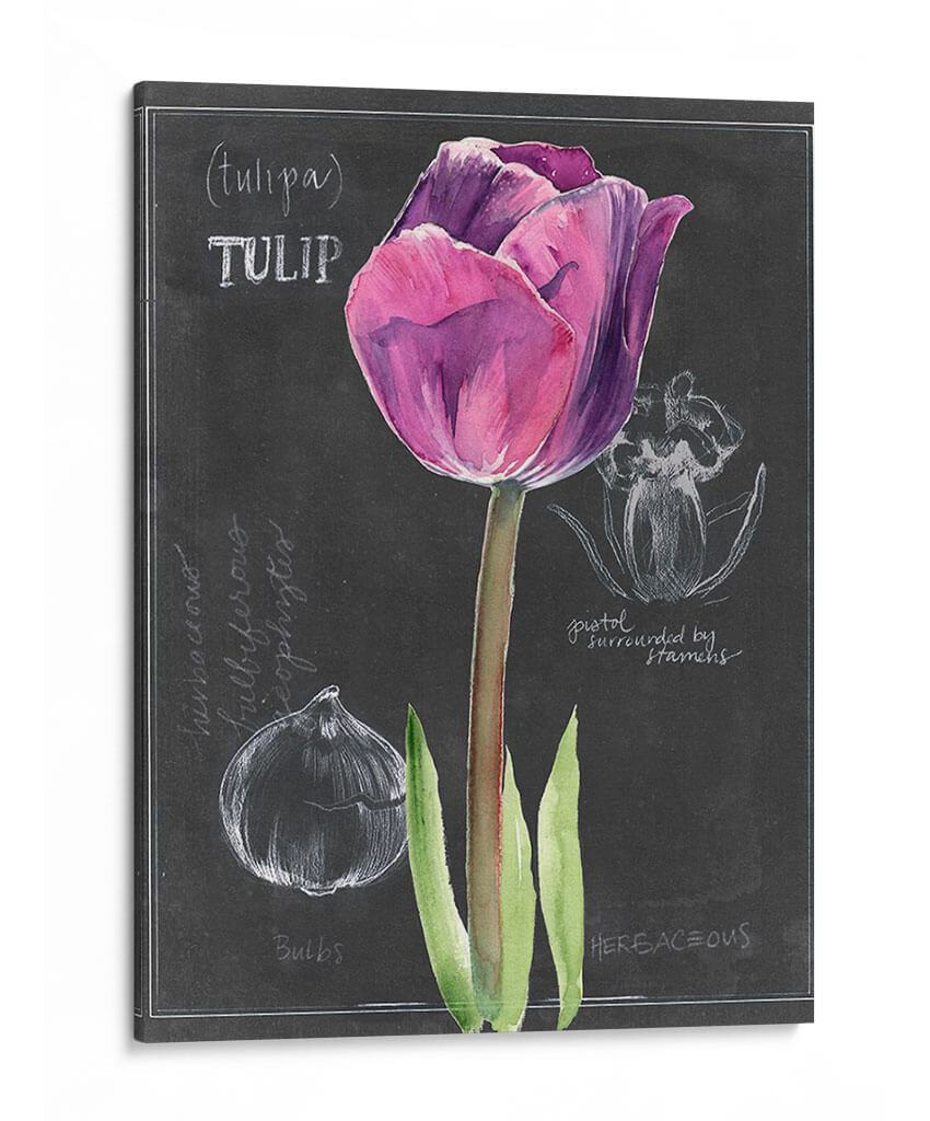 Pizarra Flor Iv - Jennifer Paxton Parker | Cuadro decorativo de Canvas Lab