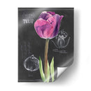 Pizarra Flor Iv - Jennifer Paxton Parker | Cuadro decorativo de Canvas Lab