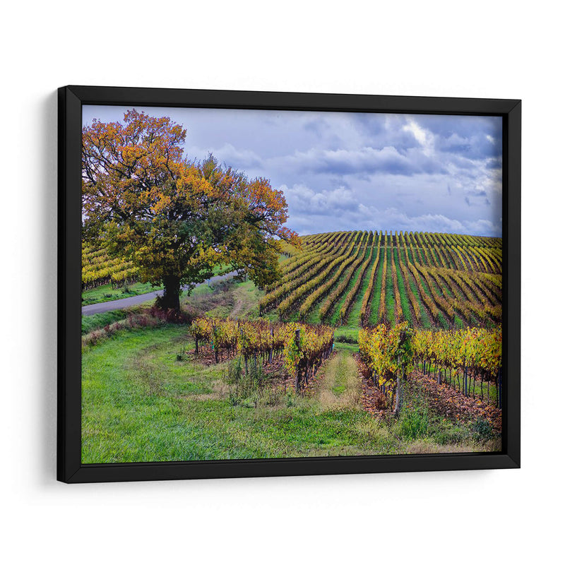 Campo Pastoral I - Colby Chester | Cuadro decorativo de Canvas Lab