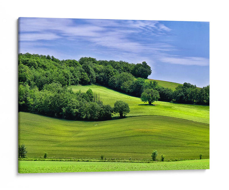 Campo Pastoral Ii - Colby Chester | Cuadro decorativo de Canvas Lab