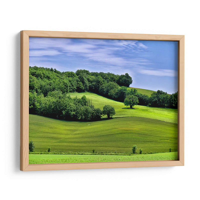 Campo Pastoral Ii - Colby Chester | Cuadro decorativo de Canvas Lab