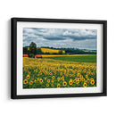 Campo Pastoral Iv - Colby Chester | Cuadro decorativo de Canvas Lab