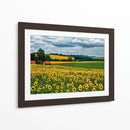 Campo Pastoral Iv - Colby Chester | Cuadro decorativo de Canvas Lab