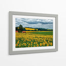 Campo Pastoral Iv - Colby Chester | Cuadro decorativo de Canvas Lab