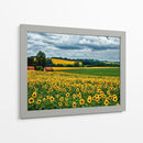 Campo Pastoral Iv - Colby Chester | Cuadro decorativo de Canvas Lab