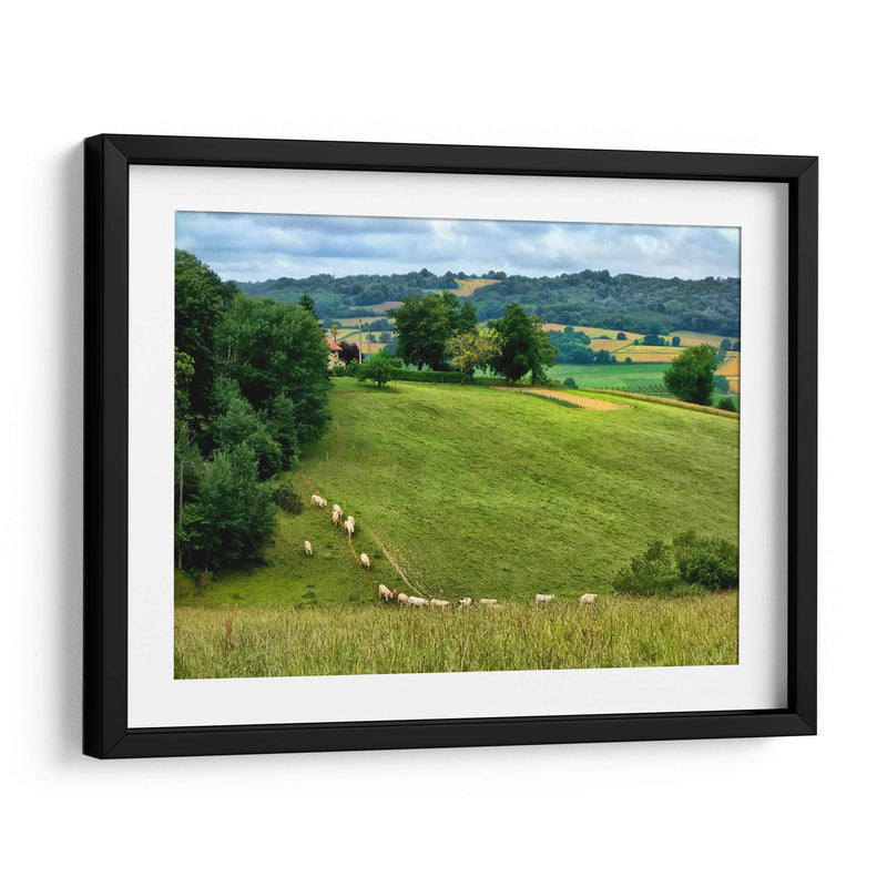 Campo Pastoral V - Colby Chester | Cuadro decorativo de Canvas Lab