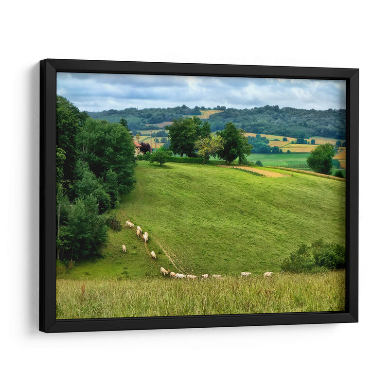 Campo Pastoral V - Colby Chester | Cuadro decorativo de Canvas Lab