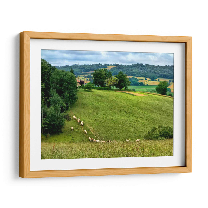 Campo Pastoral V - Colby Chester | Cuadro decorativo de Canvas Lab