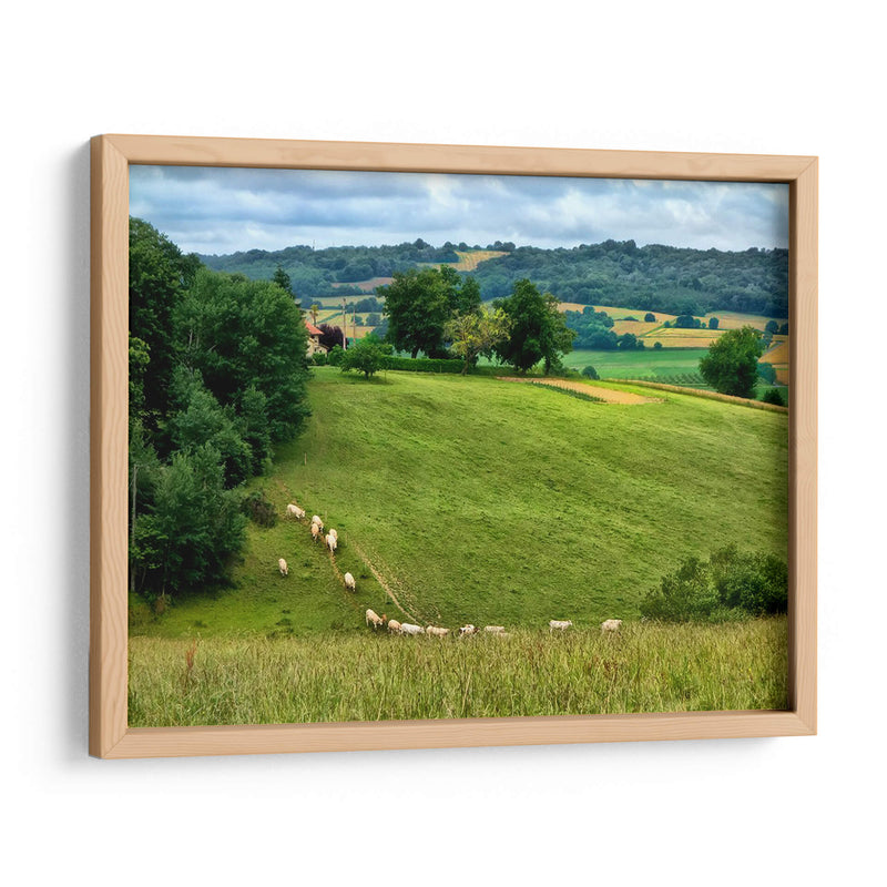 Campo Pastoral V - Colby Chester | Cuadro decorativo de Canvas Lab