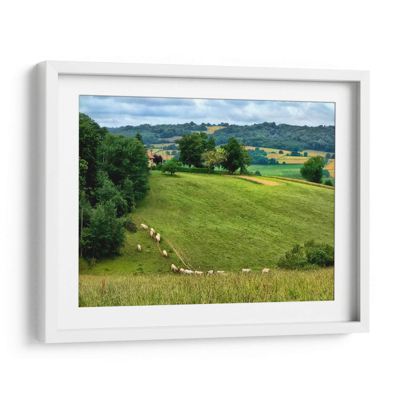 Campo Pastoral V - Colby Chester | Cuadro decorativo de Canvas Lab