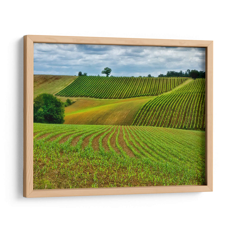 Campo Pastoral Vi - Colby Chester | Cuadro decorativo de Canvas Lab