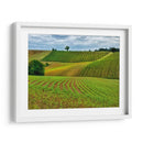 Campo Pastoral Vi - Colby Chester | Cuadro decorativo de Canvas Lab