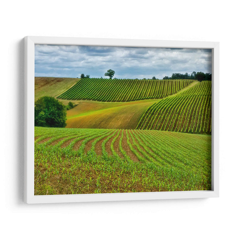 Campo Pastoral Vi - Colby Chester | Cuadro decorativo de Canvas Lab