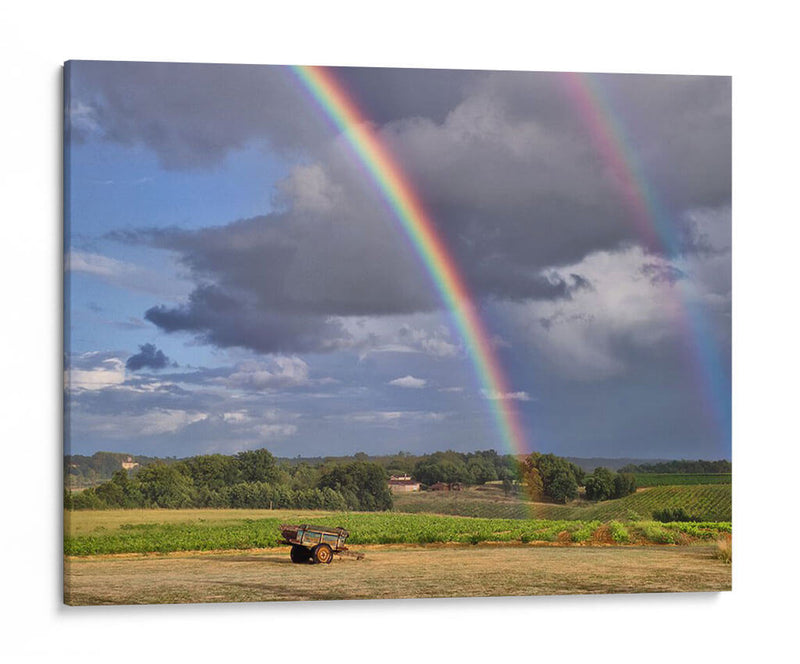 Campo Pastoral Vii - Colby Chester | Cuadro decorativo de Canvas Lab